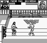 WWF Superstars 2 cover