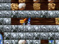 Beetle Junior DS cover