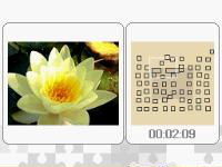 Blumen  cover